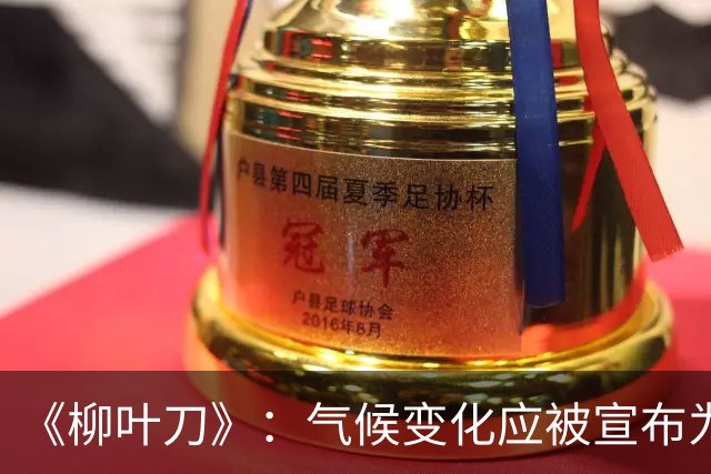 《柳叶刀》：气候变化应被宣布为“全球卫生紧急事件”
