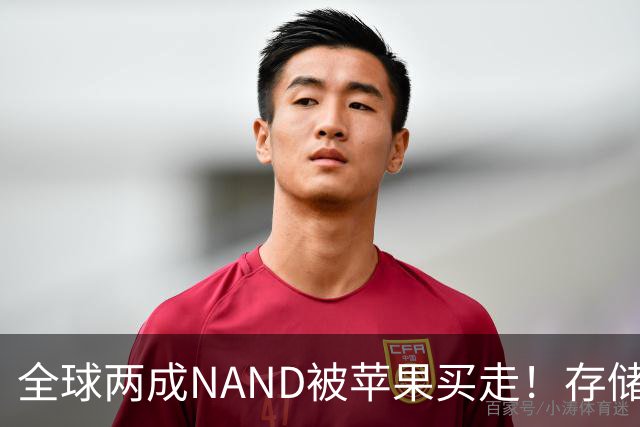 全球两成NAND被苹果买走！存储采购内幕曝光：不卖就让你跪着爬回来