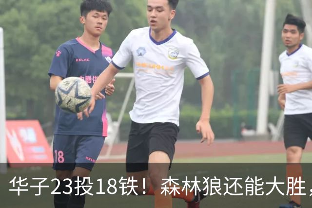 华子23投18铁！森林狼还能大胜，三球12+5太关键，魔术该拆掉双核