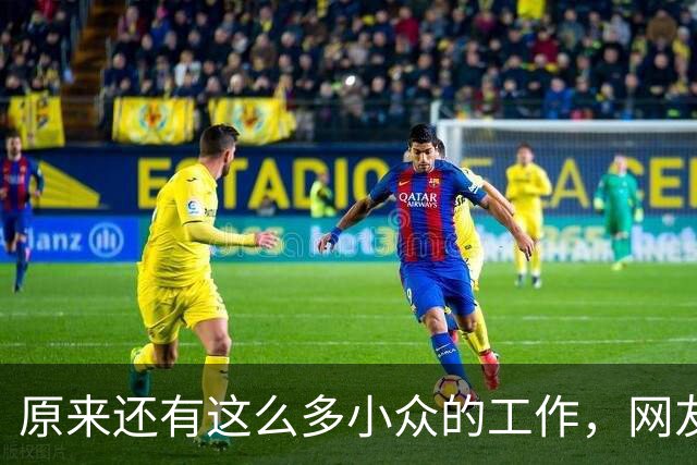 原来还有这么多小众的工作，网友：每天盈利2万