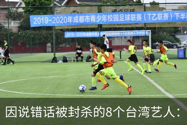 因说错话被封杀的8个台湾艺人：杨丞琳支持一中重回大陆市场，徐若瑄、柯震东复出被拒，立场决定市场