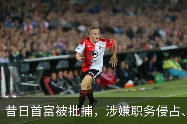 昔日首富被批捕，涉嫌职务侵占、挪用资金，女婿也曾被查现已履职