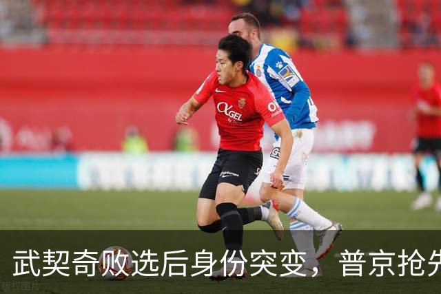 武契奇败选后身份突变，普京抢先交底划底线，塞尔维亚何去何从？