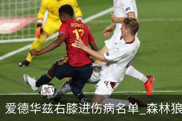 爱德华兹右膝进伤病名单 森林狼战骑士存变数
