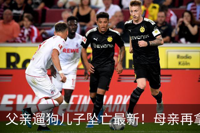 父亲遛狗儿子坠亡最新！母亲再拿铁证，窗户被动手脚，爷爷更可疑