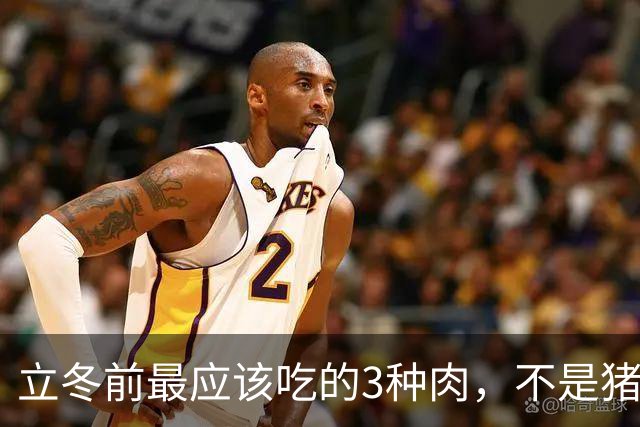 立冬前最应该吃的3种肉，不是猪肉、鸭肉，而是这几样，补阳气暖脾胃，润燥强体气血足，元气满满过寒冬！