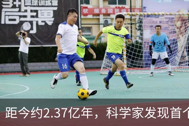 距今约2.37亿年，科学家发现首个海洋两栖动物
