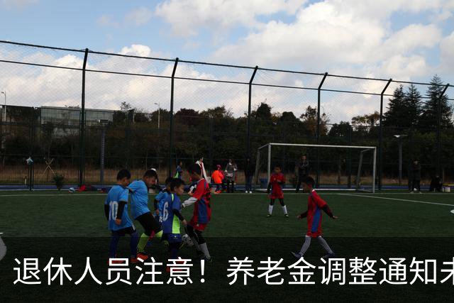 退休人员注意！养老金调整通知未公布，人社发布会会传来好消息吗