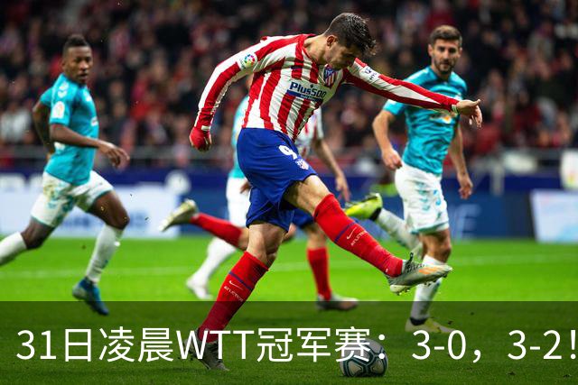 31日凌晨WTT冠军赛：3-0，3-2！雨果剃光头，蒯曼丢局过关，决战美和