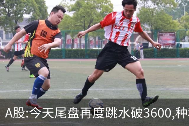A股:今天尾盘再度跳水破3600,种种迹象表明,本轮调整或全面启动？